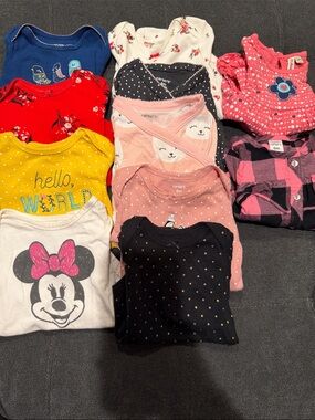 Baby Girl Long Sleeve Bundle-9 Onesies, 2 Shirts